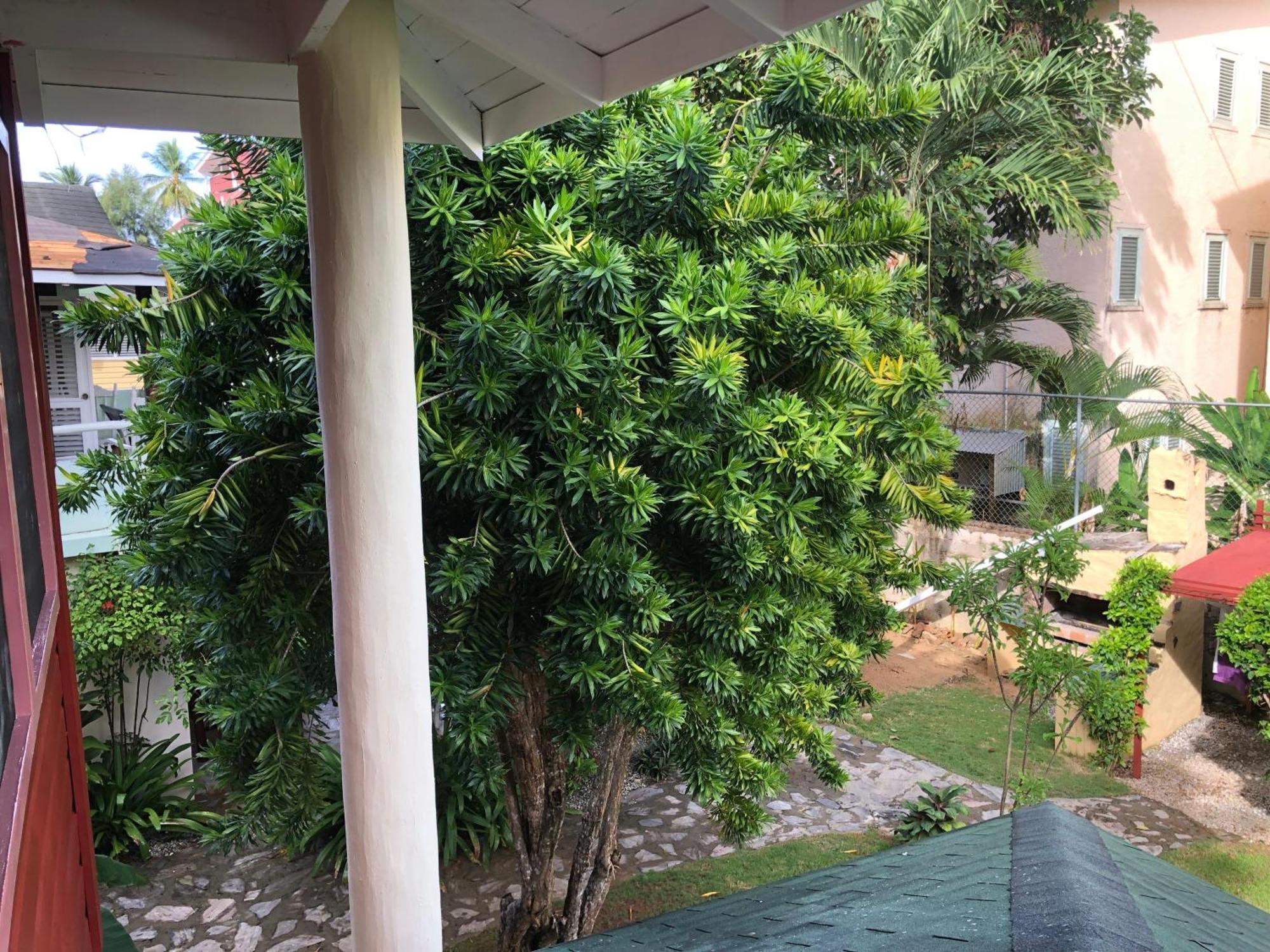 Hotel Casa Robinson Las Terrenas Luaran gambar
