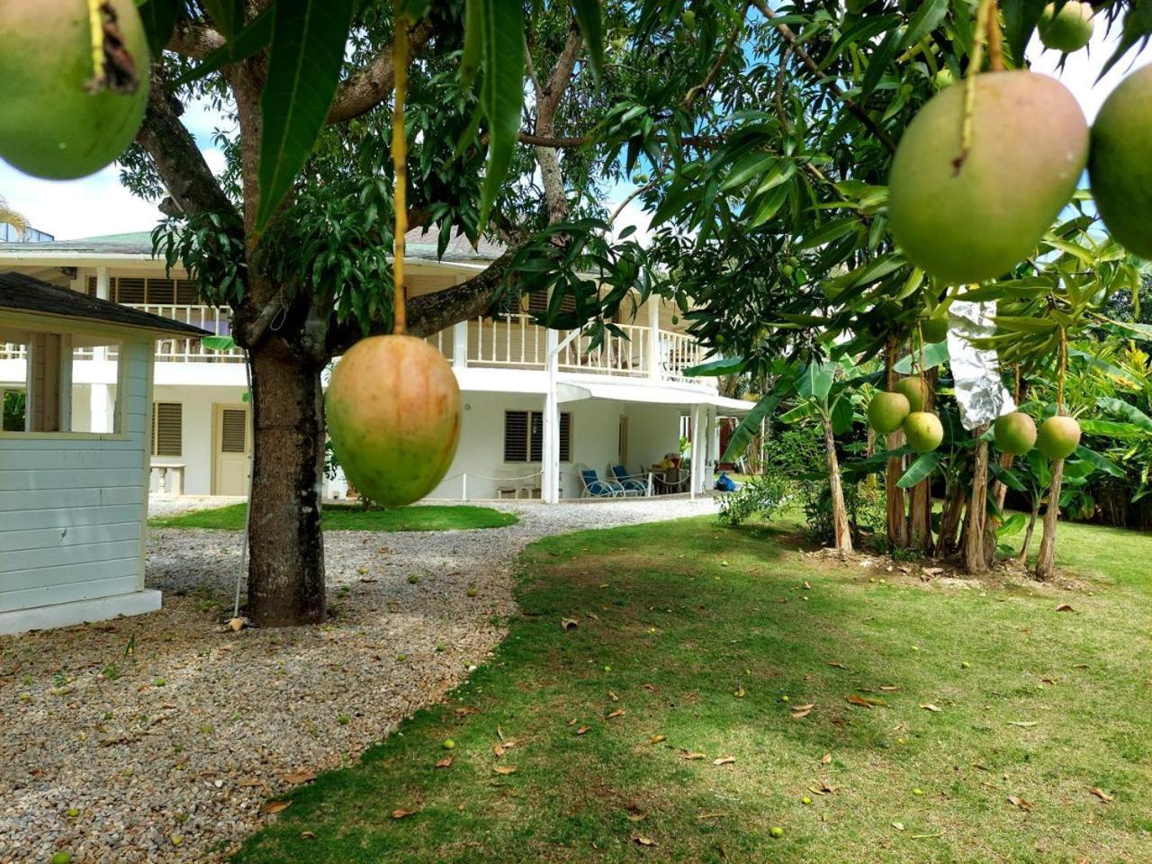 Hotel Casa Robinson Las Terrenas Luaran gambar