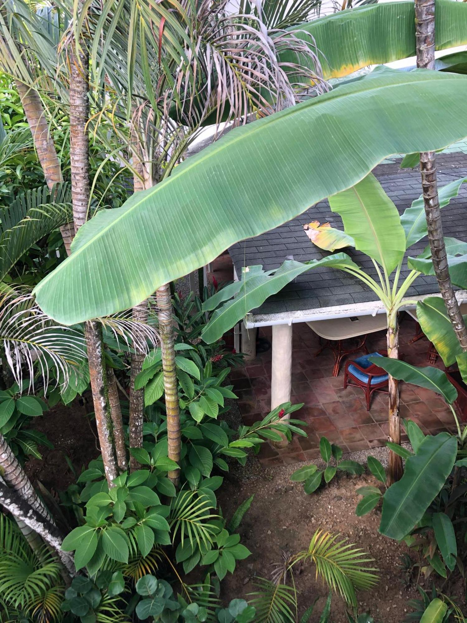 Hotel Casa Robinson Las Terrenas Luaran gambar