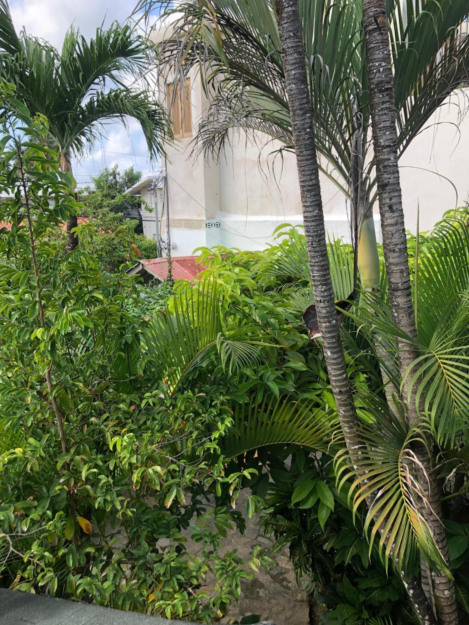 Hotel Casa Robinson Las Terrenas Luaran gambar